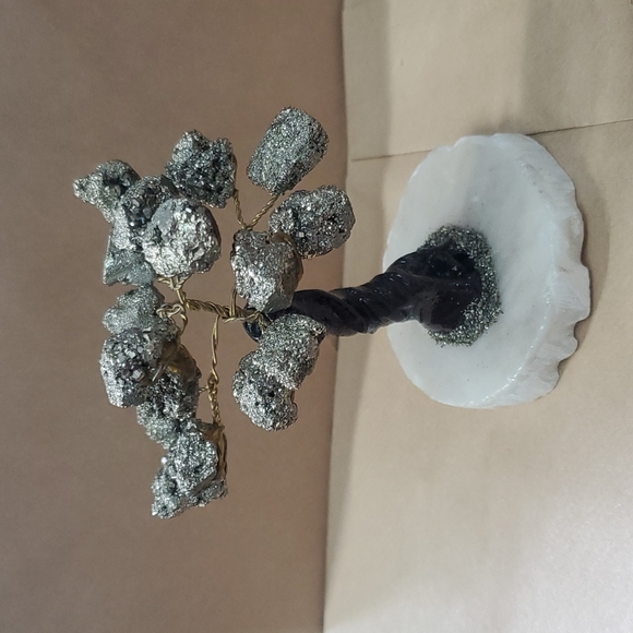 Bonzai - Picture 3 of 3